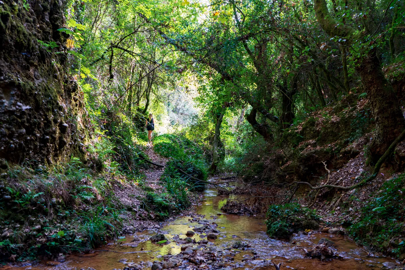 Kloof in het berglandschap van de Peloponnesos