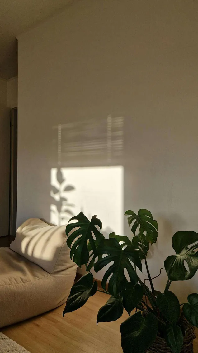 Uitgelichte afbeelding bij Dit is het ochtendritueel voor meer rust en focus