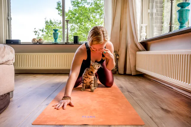 Uitgelichte afbeelding bij Hoe begin je thuis met yoga? Zo creëer je jouw eigen yogastudio