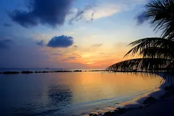 Uitgelichte afbeelding bij Snorkelen op Curaçao: dit is het mooiste plekje