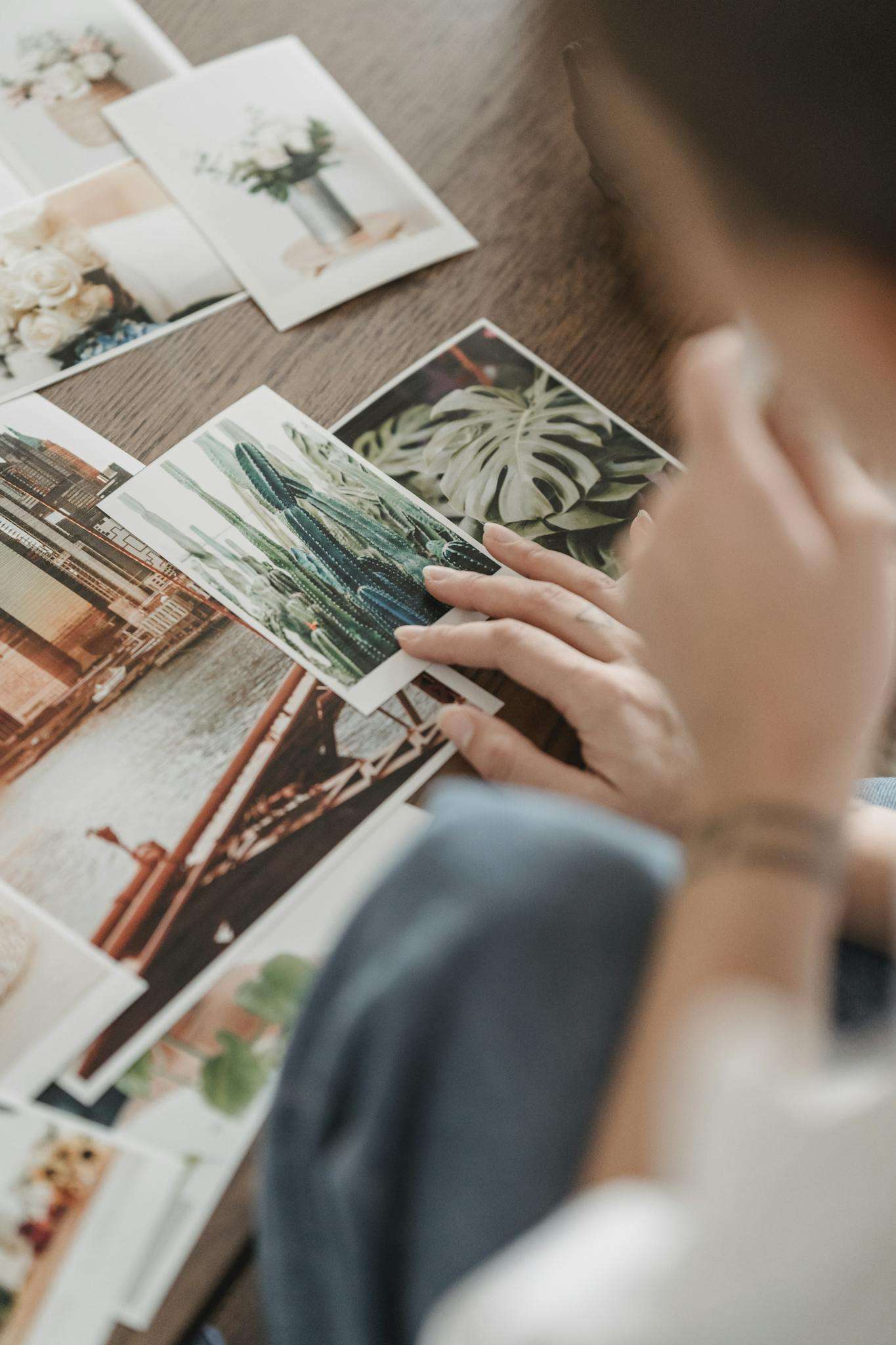 Crop person choosing photo of cactus at table